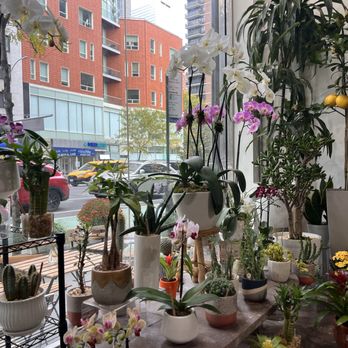 Remi Flower & Coffee - Flowers - Coffee & Tea Near Me - New York, New York Remi Flower & Coffee - Flowers - Coffee & Tea Near Me - New York, New York