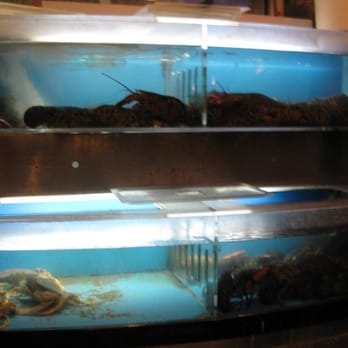 Full Kee - lobster and crab tanks - Chinese Near Me - Falls Church, Virginia Full Kee - lobster and crab tanks - Chinese Near Me - Falls Church, Virginia