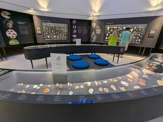 Bailey-Matthews National Shell Museum & Aquarium by null