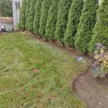 R S Landscaping - Frontside yard - Lawn Services Near Me