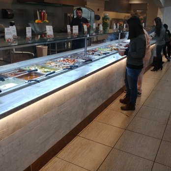 Dimassi's Mediterranean Buffet - Buffets Near Me - Plano, Texas Dimassi's Mediterranean Buffet - Buffets Near Me - Plano, Texas