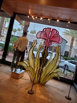 Anthropologie by null