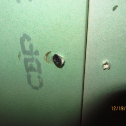 Guaranteed Drywall