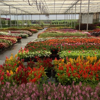 Perennials Plus - Nurseries & Gardening Near Me - Westfield, Indiana