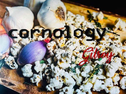 Cornology Extraordinary Popcorn by null