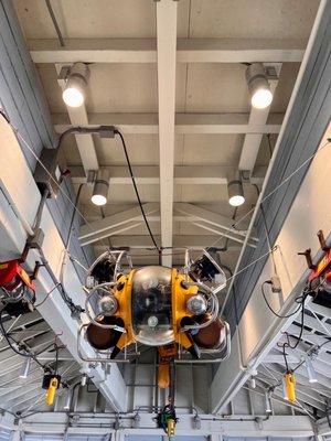 Santa Barbara Museum of Natural History Sea Center by null