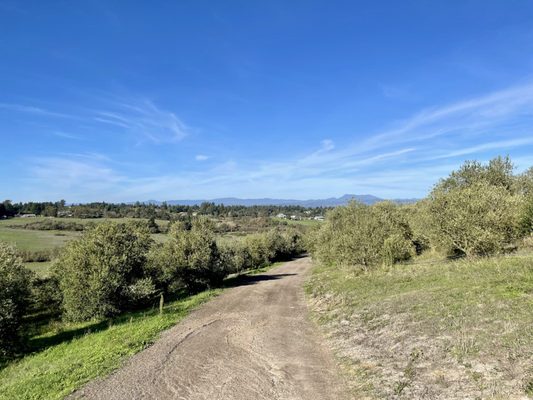 Gold Ridge Organic Farms by null