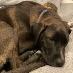 Winston Winston