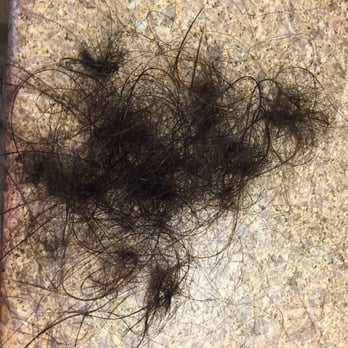 S O Hair Design - Here are the breaking hair after I washed my hair at home. I spent 500 dollars and brought a severe damage to my hair! - Hair Salons Near Me - Malden, Massachusetts S O Hair Design - Here are the breaking hair after I washed my hair at home. I spent 500 dollars and brought a severe damage to my hair! - Hair Salons Near Me - Malden, Massachusetts