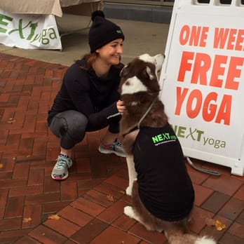 NEXT yoga - One week FREE for first time clients! - Yoga Near Me - Wheaton, Illinois NEXT yoga - One week FREE for first time clients! - Yoga Near Me - Wheaton, Illinois