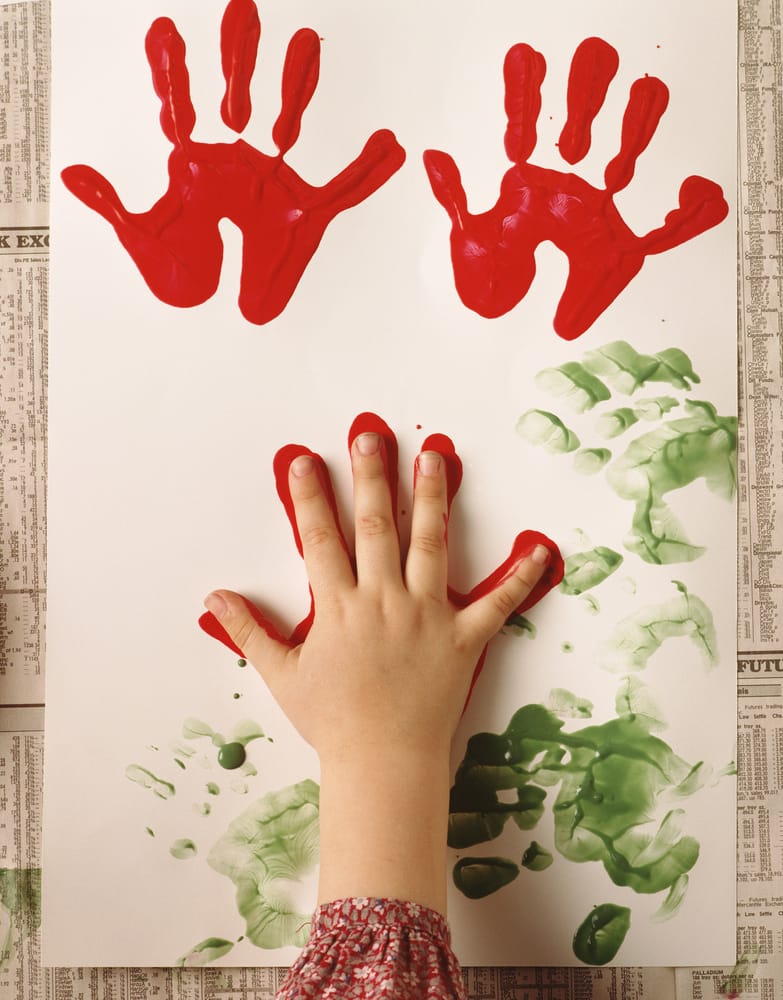 North Atlantic Montessori School - childcare center in South Portland, ME