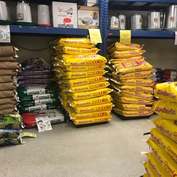 The Feed Barn - LIVESTOCK FEED -- this REALLY is the country! haha - Pet Stores Near Me - Mahopac, New York The Feed Barn - LIVESTOCK FEED -- this REALLY is the country! haha - Pet Stores Near Me - Mahopac, New York