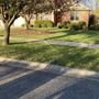 Photo of 10X Better Lawn and Landscape