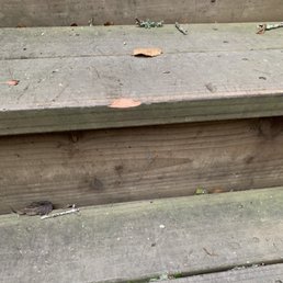 Careless with our redwood stairs. Careless with our redwood stairs.