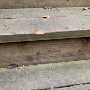 Superior Tree Service - Careless with our redwood stairs. - Tree Services Near Me - San Jose, California Superior Tree Service - Careless with our redwood stairs. - Tree Services Near Me - San Jose, California