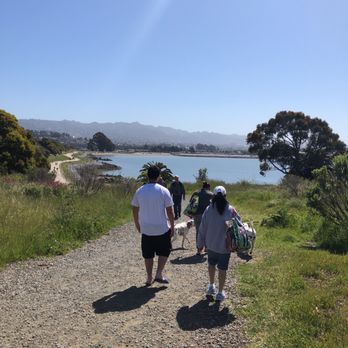 Albany Beach - The whole family enjoyed today - Beaches Near Me - Albany, California