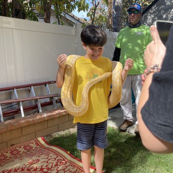 Kids Reptile Parties - Kids enjoying the heavy python! - Party & Event Planning Near Me Kids Reptile Parties - Kids enjoying the heavy python! - Party & Event Planning Near Me