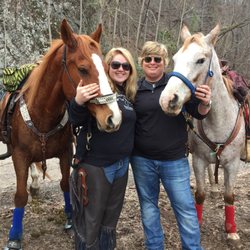 Shepherd Mountain Horse Rescue