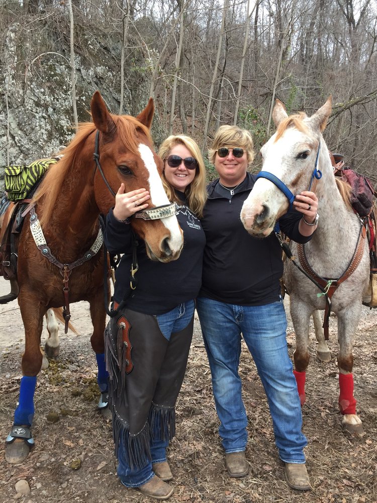 Shepherd Mountain Horse Rescue - equestrian in Mountainburg, AR