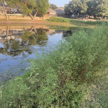 Plantation Golf Club - Overgrown vegetation and unkept greens - Golf Near Me - Frisco, Texas Plantation Golf Club - Overgrown vegetation and unkept greens - Golf Near Me - Frisco, Texas