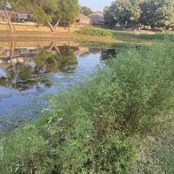 Plantation Golf Club - Overgrown vegetation and unkept greens