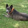 Photo of Tri-County Animal Shelter