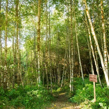 Thousand Trails Chehalis - RV Parks Near Me - Chehalis, Washington