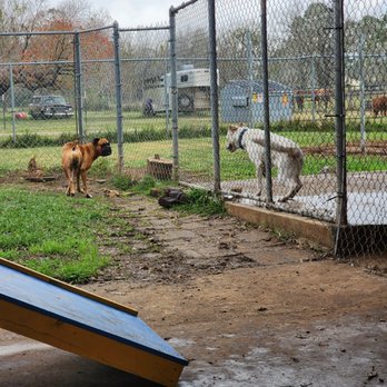 Dmb Pampered Pets - Pet Groomers Near Me - Brazoria, Texas Dmb Pampered Pets - Pet Groomers Near Me - Brazoria, Texas