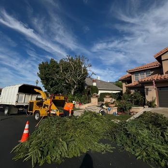 Valencia's Tree Service - Tree Services Near Me Valencia's Tree Service - Tree Services Near Me