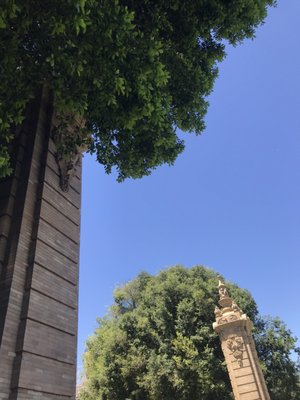 Parque de María Luisa by null