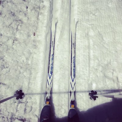 Rim Nordic XC Ski Area & Mountain Bike Park by null