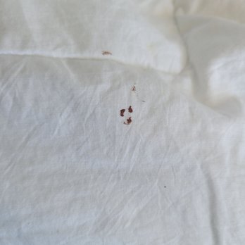Grand Pequot Casino - Blood on comforter - Casinos Near Me - Mashantucket, Connecticut Grand Pequot Casino - Blood on comforter - Casinos Near Me - Mashantucket, Connecticut
