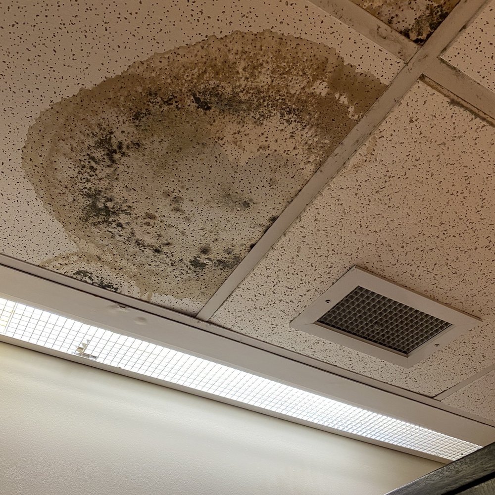 Jake's On Main - Moldy ceiling in Man's washroom - Pubs Near Me - Unionville, Ontario