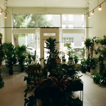 Florence - Interior Design Near Me - Seattle, Washington Florence - Interior Design Near Me - Seattle, Washington