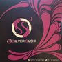 Photo of O'Silver Sushi