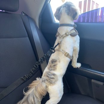 Furry Rascals Grooming - Pet Groomers Near Me - Long Beach, California