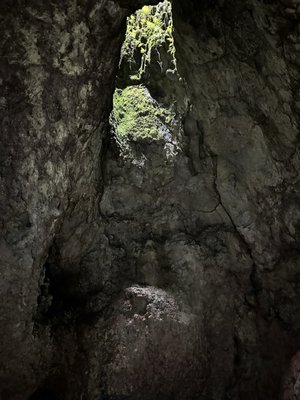 Hana Lava Tube by null