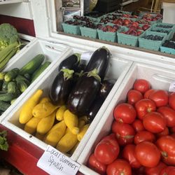 Vicki's Veggies - Eggplants were beautiful