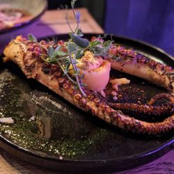 Casa Jaguar - Octopus