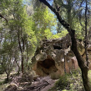 Castle Rock State Park - Parks Near Me - Los Gatos, California