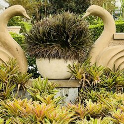 Hollis Garden