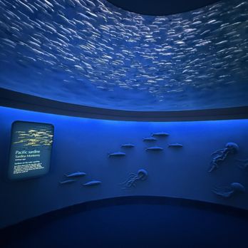 Monterey Bay Aquarium - Aquariums Near Me - Monterey, California