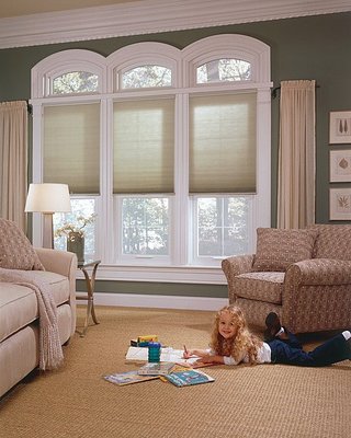 New View Blinds and Shutters of Castle Rock