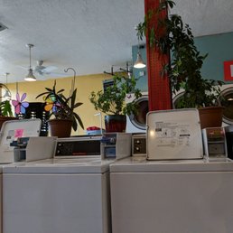 Lots of machines to use, not all are working but that's ok! Lots of machines to use, not all are working but that's ok!