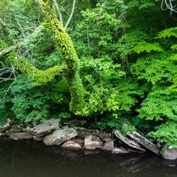 Riverbend Ranch and Retreat - Duck River Access