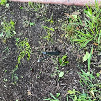Buddy's Services - Consistently (all three times) broke our irrigation heads and did not offer to repair - Landscaping Near Me - Calabash, North Carolina