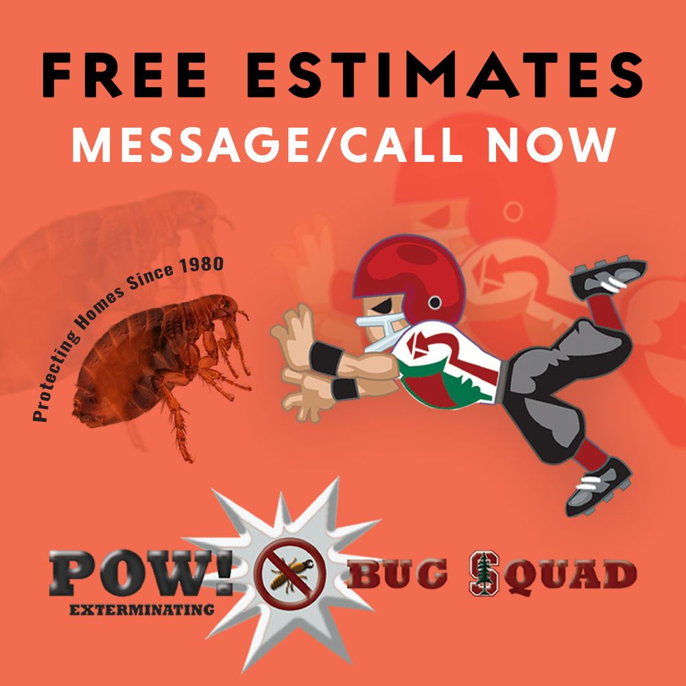 Slide of POW! Bug Squad