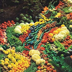 Obst und Gemüse Stefan Nübel