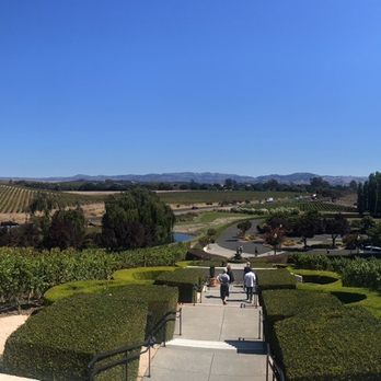 WeWine Napa - View from Domaine Carneros - Wine Tours Near Me - Napa, California WeWine Napa - View from Domaine Carneros - Wine Tours Near Me - Napa, California