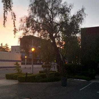 Bryant's Tree Service - Night work in downtown Fresno, pepper trim - Tree Services Near Me Bryant's Tree Service - Night work in downtown Fresno, pepper trim - Tree Services Near Me